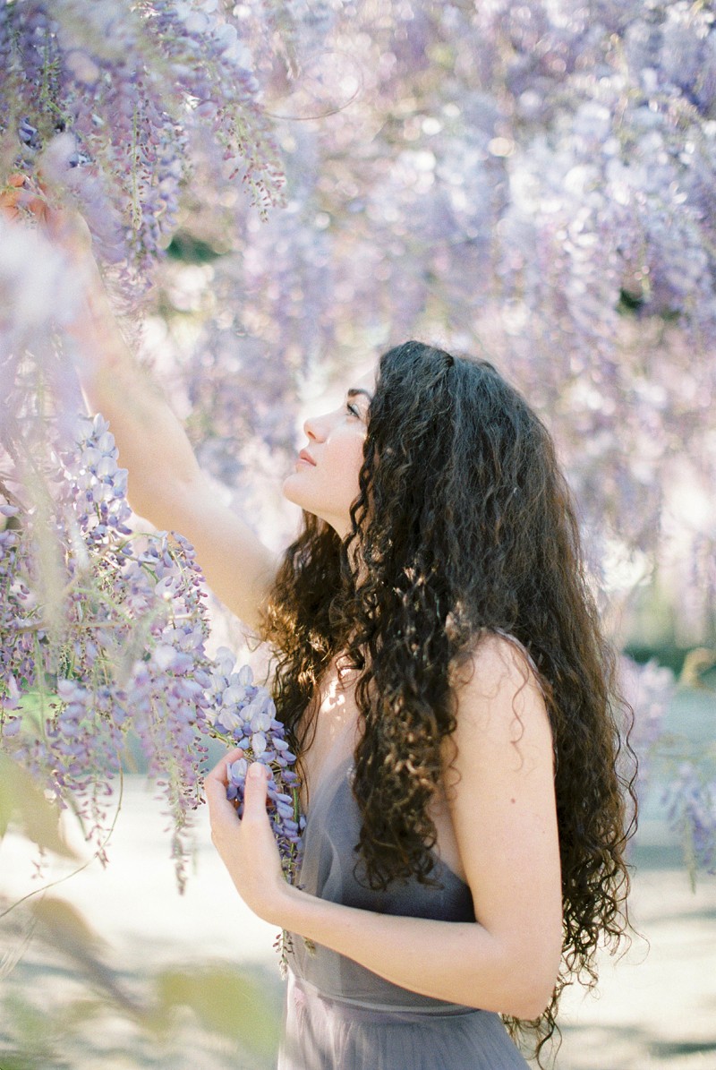 for the love of wisteria