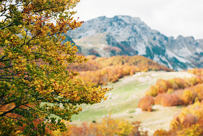 Autumn-North-Montenegro-by-Sonya-Khegay-10